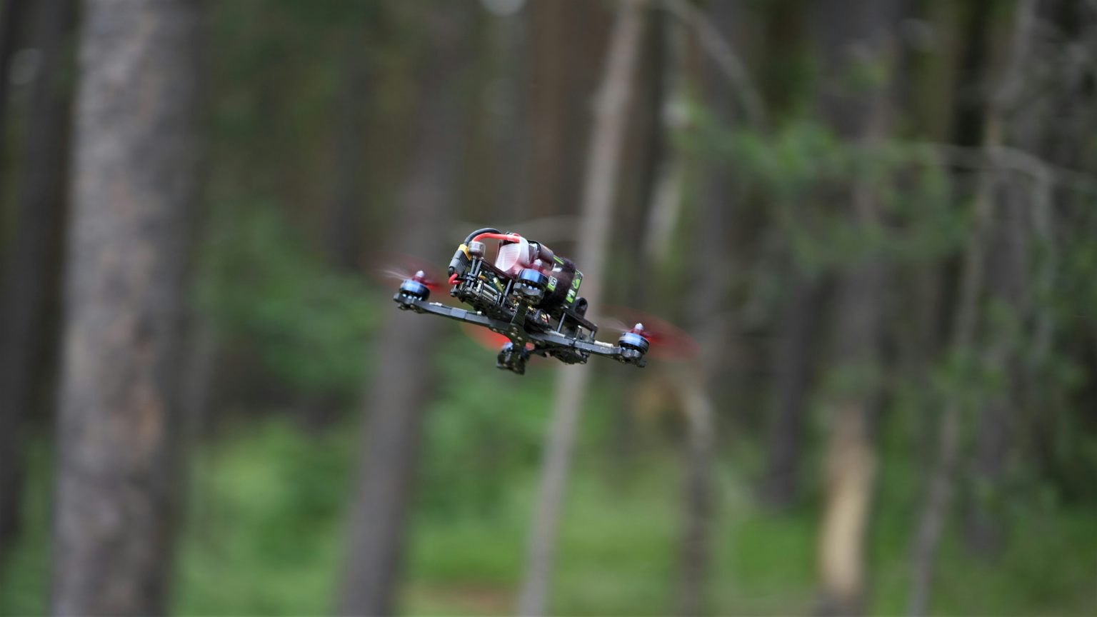 drone forest